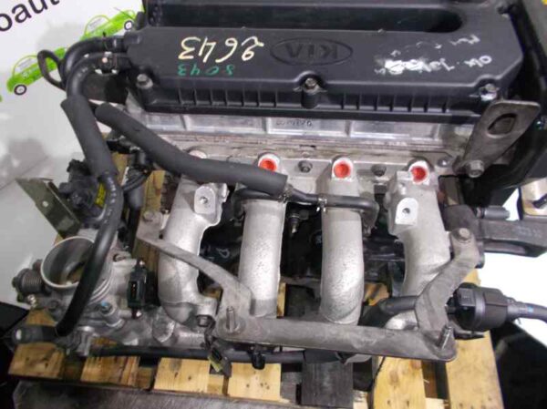 Shuma 1.6 DOHC